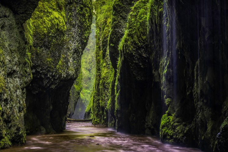 Oneonta Rains - Columbia River Gorge - Landscape Photography