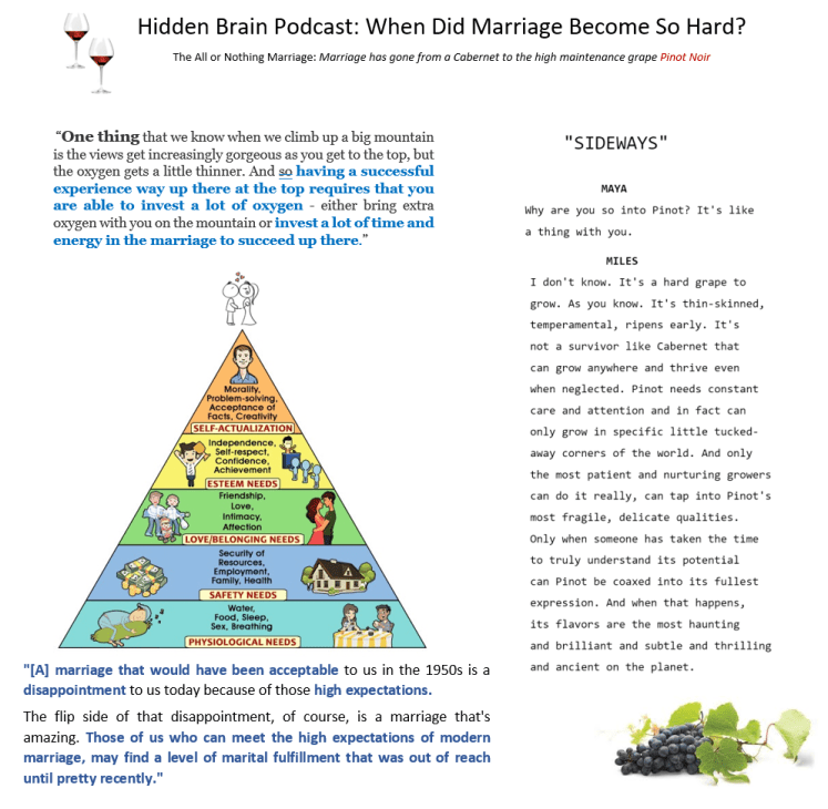Hidden Brain Marriage II
